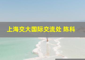 上海交大国际交流处 陈科